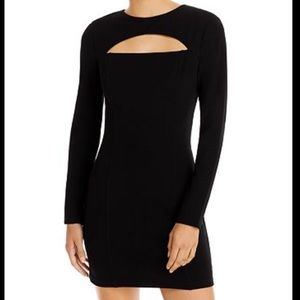 AQUA Cut-Out Long Sleeve Mini Dress - NWT